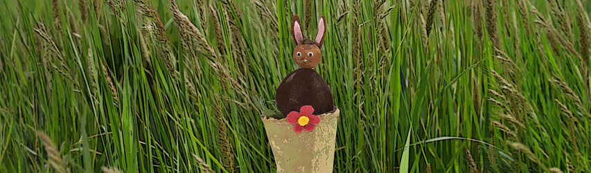 Ein grüner Fisch schwimmt  im Korallenriff. Unter ihm liegt ein rosafarbener Seestern im Sand des Meeresbodens.